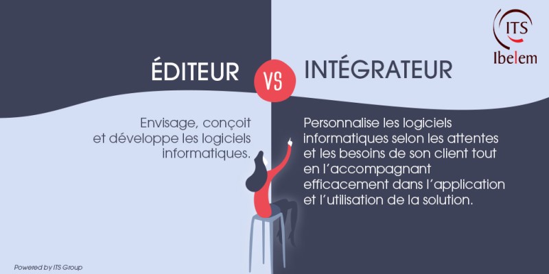 Editeur vs Intégrateur